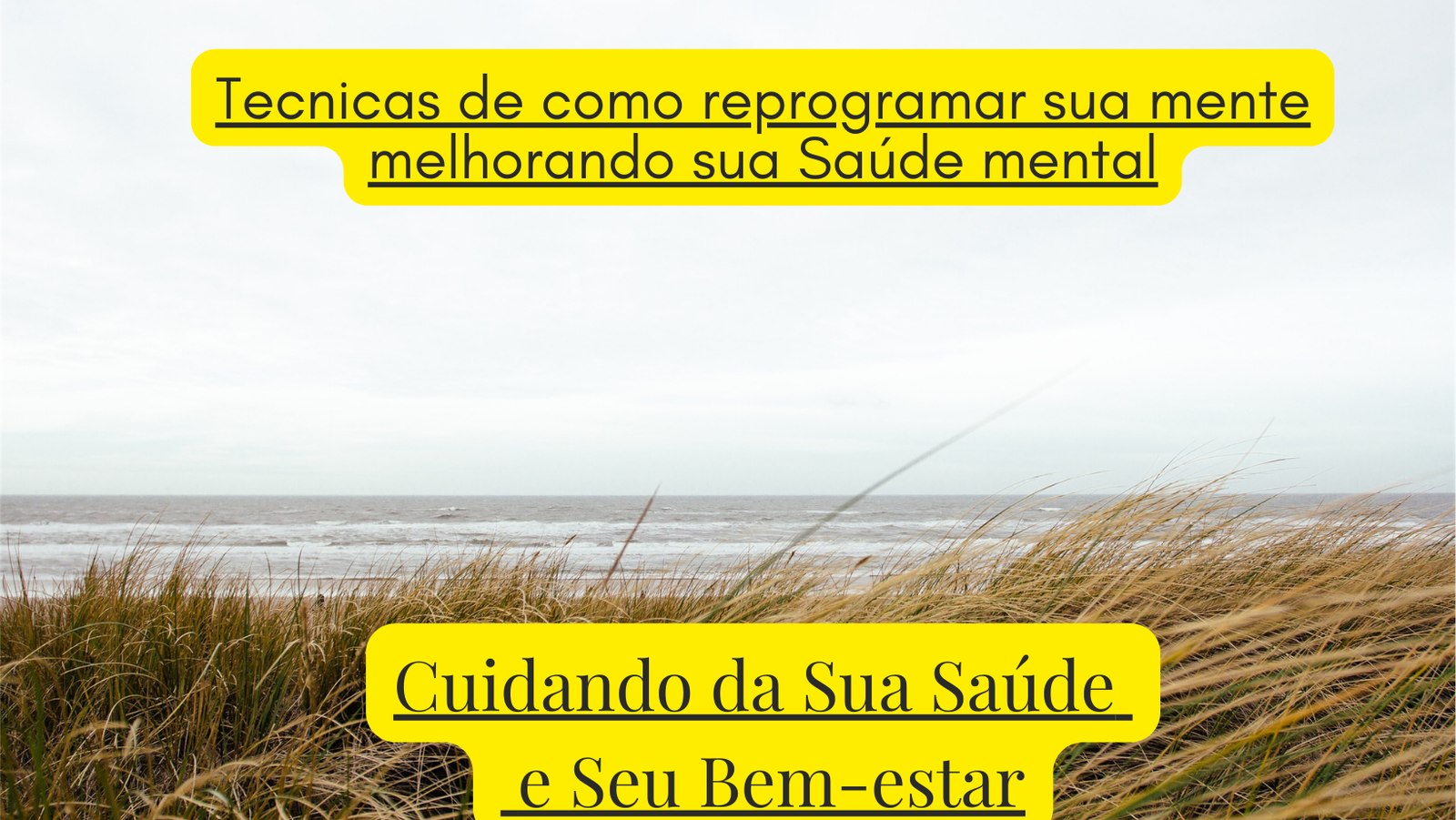 Tecnicas De Como Reprogramar Sua Mente Melhorando Sua Saude Mental