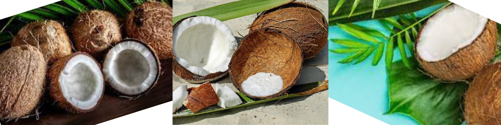 Benefícios do Coco e suplementos naturais de coco para perda de peso e Saciedade