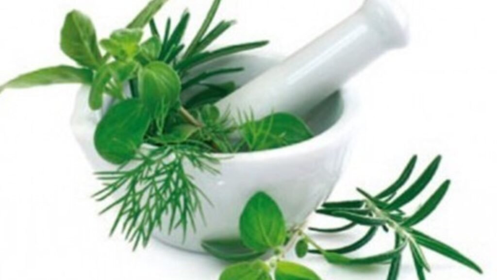 10 Dicas de Remédios Caseiros para Dor de Dente