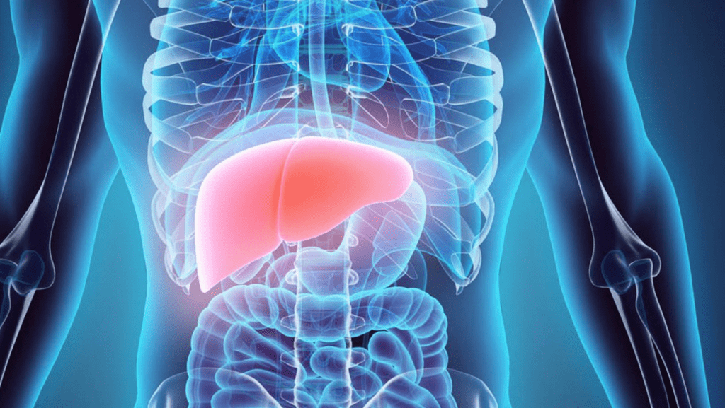 O que é hepatite viral uma visão detalhada e abrangente