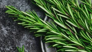 Descubra os Incríveis Benefícios do Alecrim para a Saúde | Guia Completo