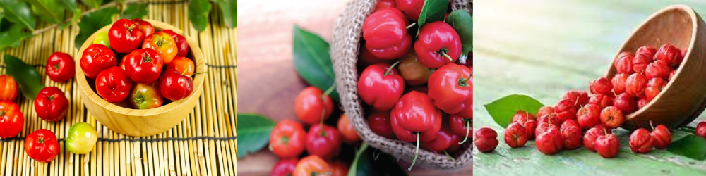 A Rainha da Vitamina C entre as Frutas aumentar a Imunidade