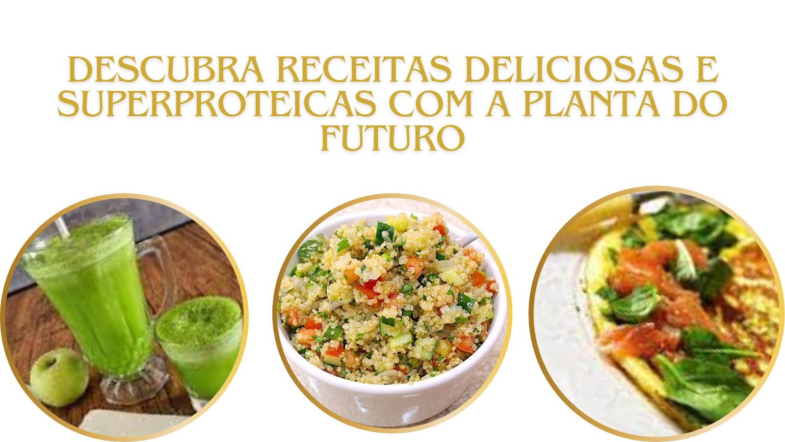 Descubra Receitas Deliciosas e Superproteicas com a Planta do Futuro